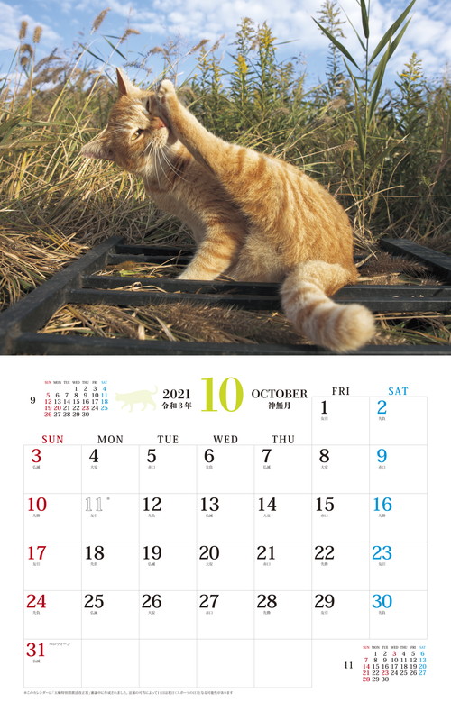 そとねこ
