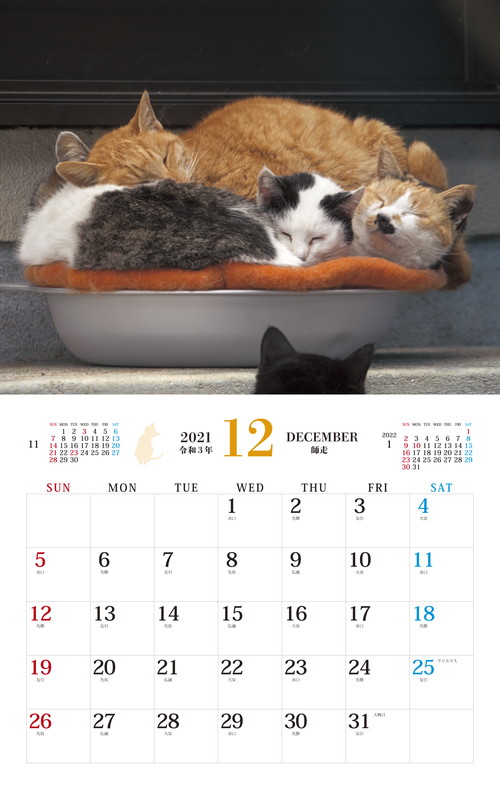 そとねこ