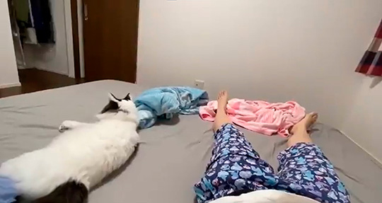 チーズおかきさん