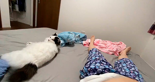 チーズおかきさん