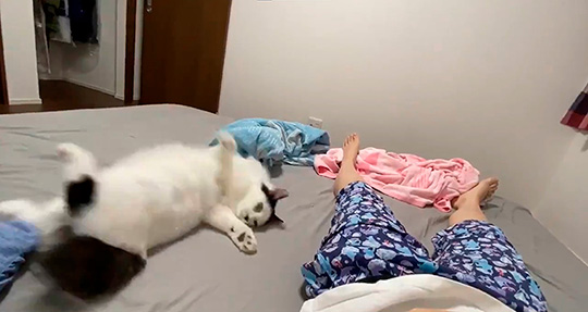 チーズおかきさん