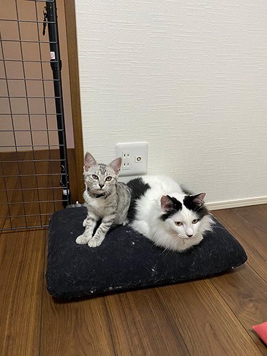 チーズおかきさん