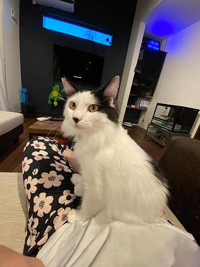 チーズおかきさん