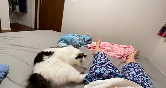 チーズおかきさん