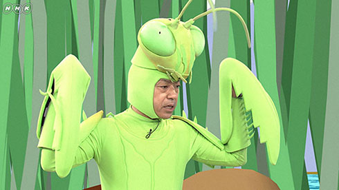 香川照之 昆虫すごいぜ！ カマキリ先生