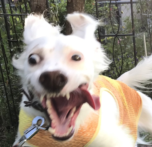 笑顔2枚目アップ