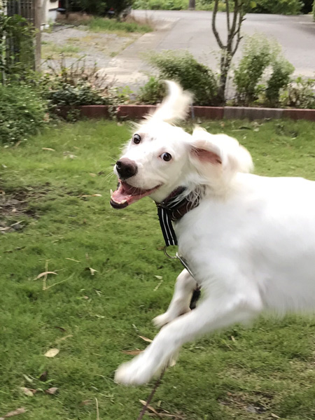 美人さんな麦ちゃん