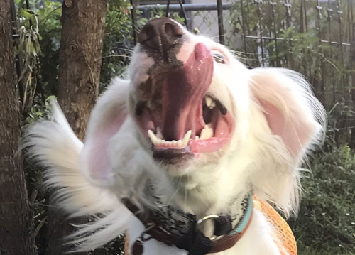 笑顔1枚目アップ