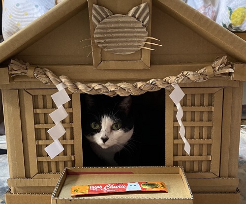 猫神社
