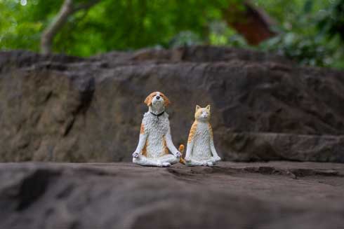 めーちっさい 謎の犬 弟子の猫 フィギュア Everything is a stream