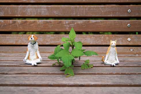 めーちっさい 謎の犬 弟子の猫 フィギュア Everything is a stream