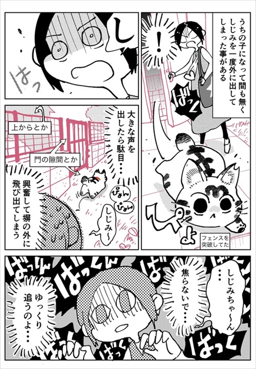 しじみちゃん脱走劇