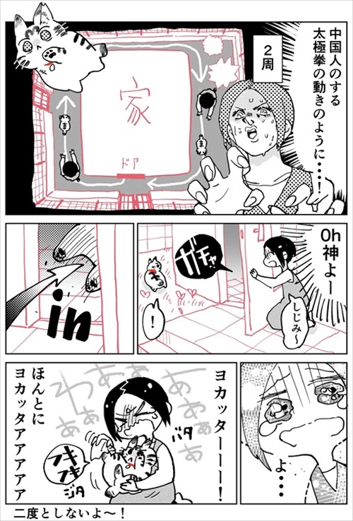 しじみちゃん脱走劇