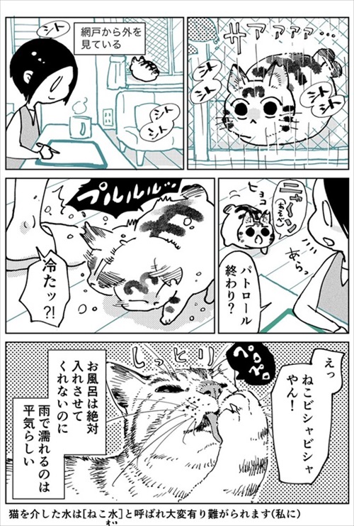 しじみちゃん脱走劇