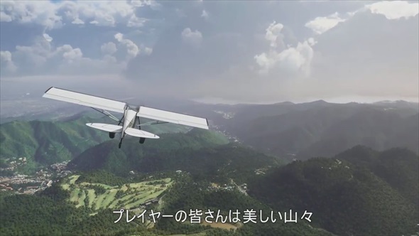Microsoft Flight Simulator