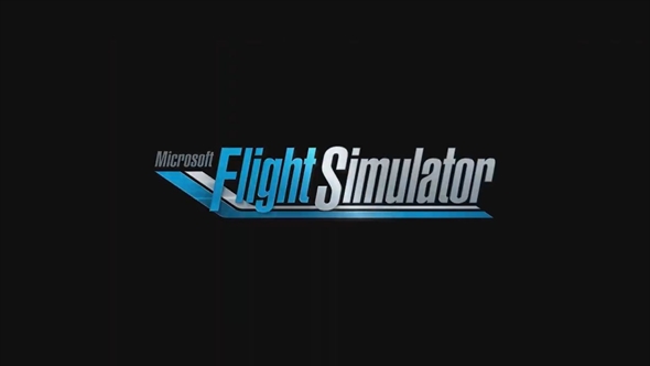 Microsoft Flight Simulator
