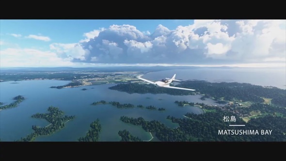 Microsoft Flight Simulator