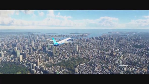 Microsoft Flight Simulator