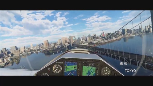 Microsoft Flight Simulator