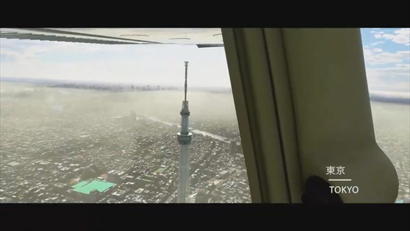 Microsoft Flight Simulator