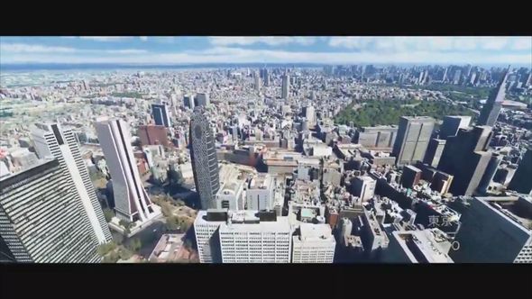 Microsoft Flight Simulator