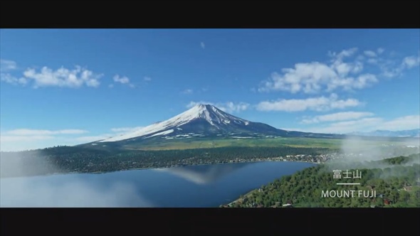 Microsoft Flight Simulator