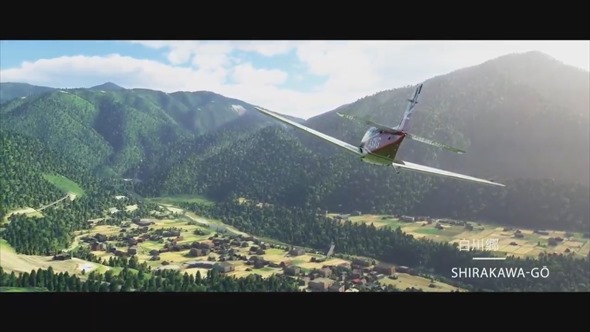 Microsoft Flight Simulator