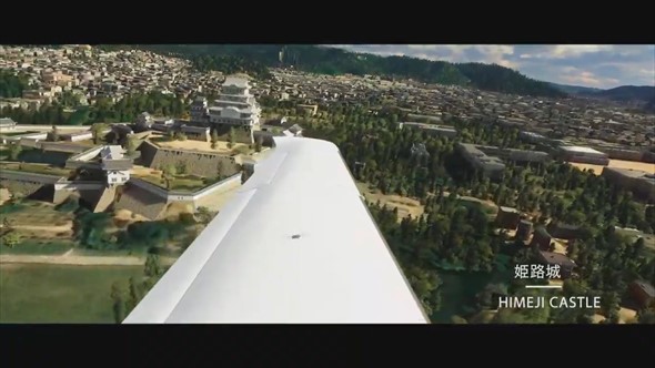 Microsoft Flight Simulator