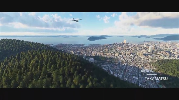 Microsoft Flight Simulator