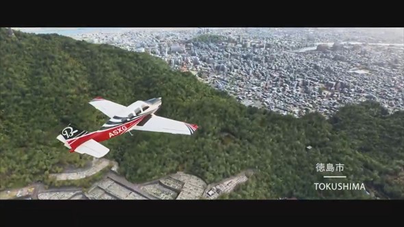 Microsoft Flight Simulator