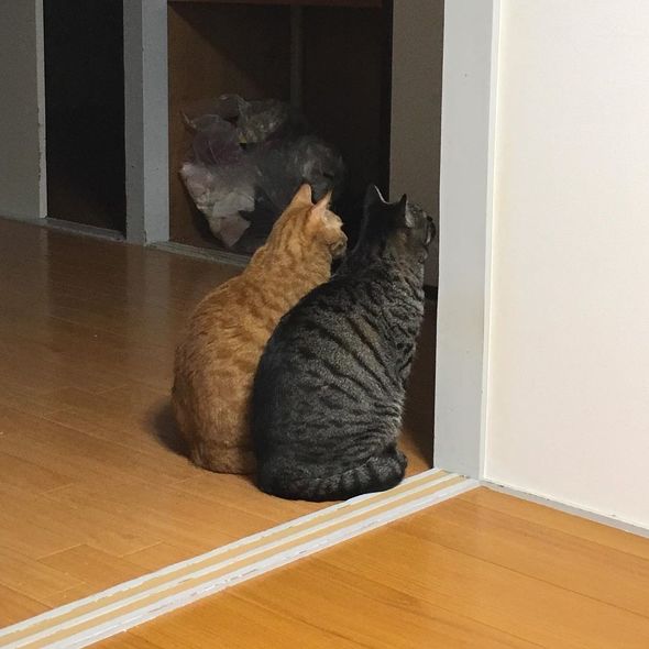 育児漫画エッセイ