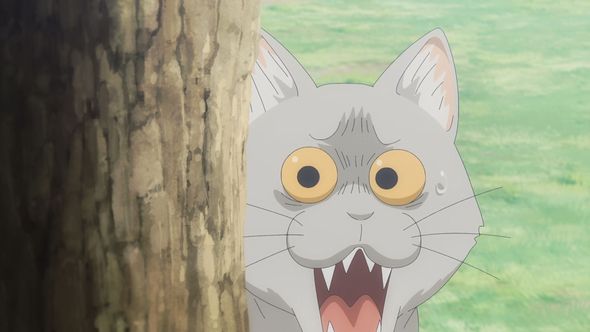 宇崎ちゃんは遊びたい！