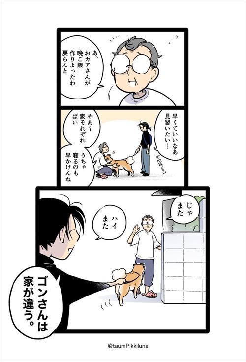 犬
