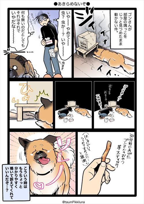 犬