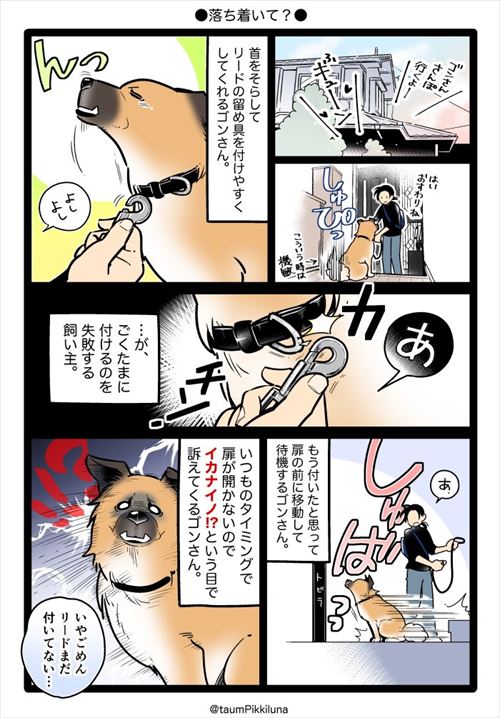 犬