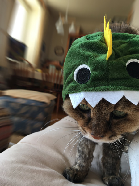 かぶりものミミちゃん