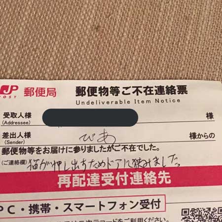 猫がいて入れられなかった 配達員 郵便受け