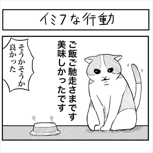 意味不明な行動をする猫ちゃん