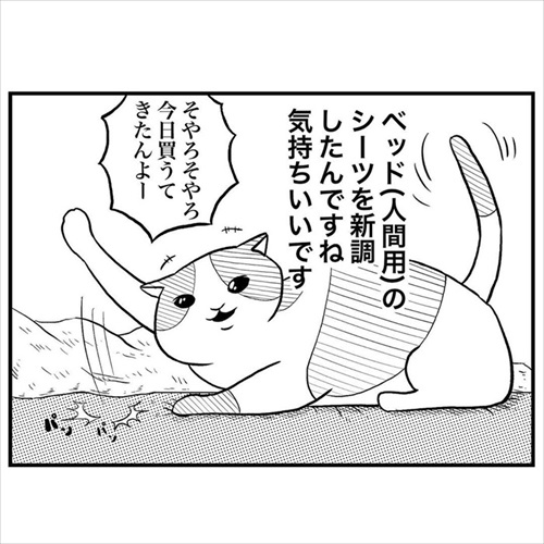 意味不明な行動をする猫ちゃん