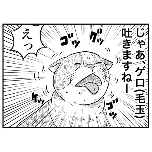 意味不明な行動をする猫ちゃん