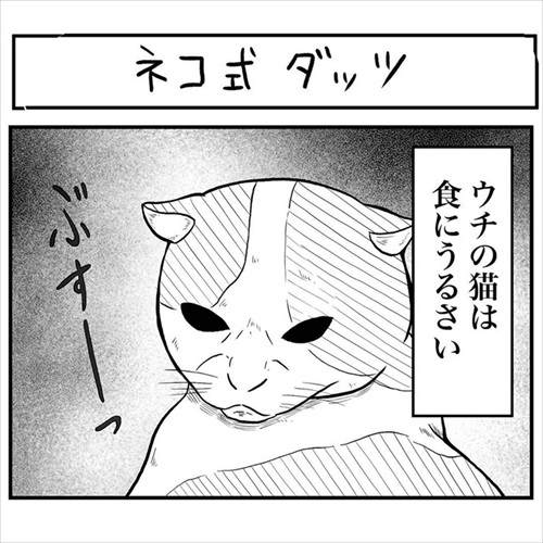 意味不明な行動をする猫ちゃん