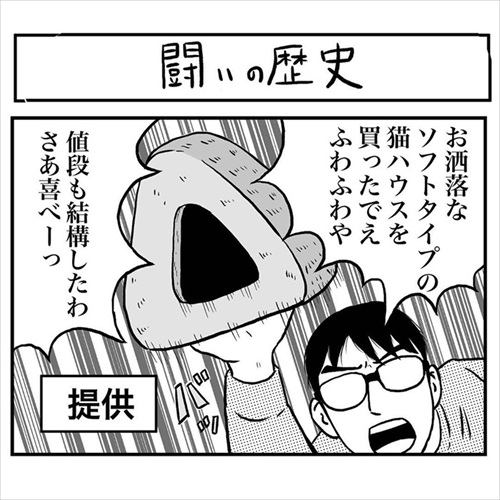 意味不明な行動をする猫ちゃん