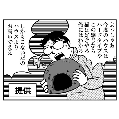 意味不明な行動をする猫ちゃん