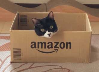 猫 Amazon ダンボール 好きな箱選んで 好み 大中小