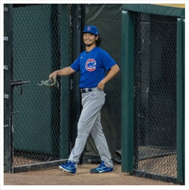 ダルビッシュ聖子 ダルビッシュ有 最多勝 サイ・ヤング賞 8勝目 MLB メジャーリーグ ブログ