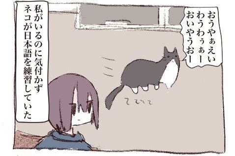 猫