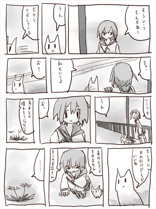 猫