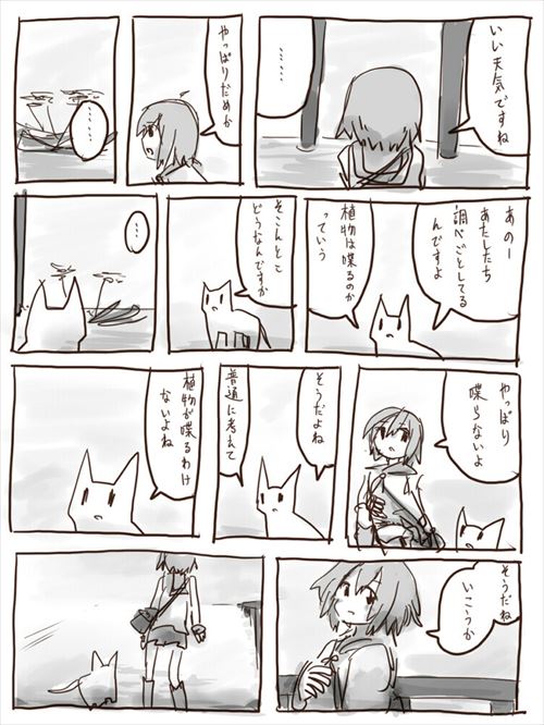 猫