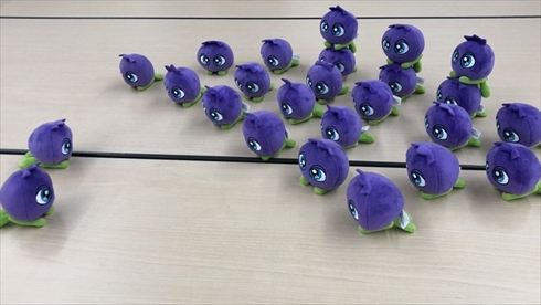 わかさ生活 ブルーベリーアイ ブルべりアイ