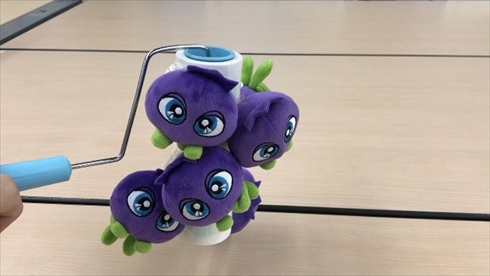 わかさ生活 ブルーベリーアイ ブルべりアイ